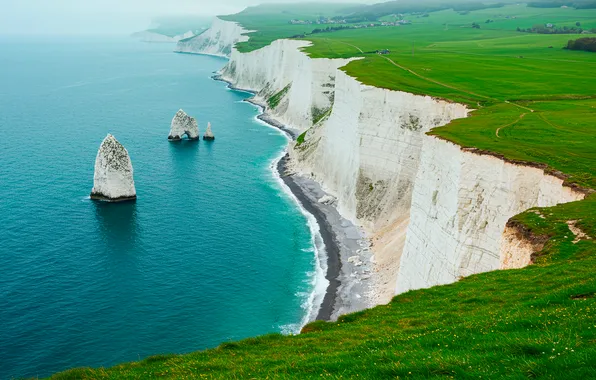 Grass, open, the ocean, rocks, shore, grass, ocean, rocks