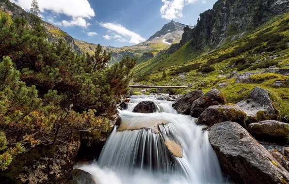 Picture mountains, river, stones, waterfall, Austria, Alps, pine, Austria, Alps, Hohe Tauern National Park, National Park …