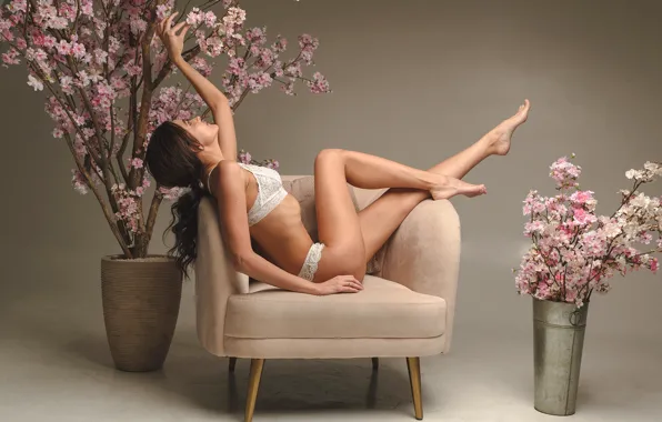 Girl, branches, pose, chair, barefoot, Sakura, brunette, underwear