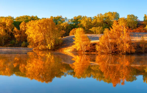 Autumn, light, trees, nature, lake, reflection, blue, hills