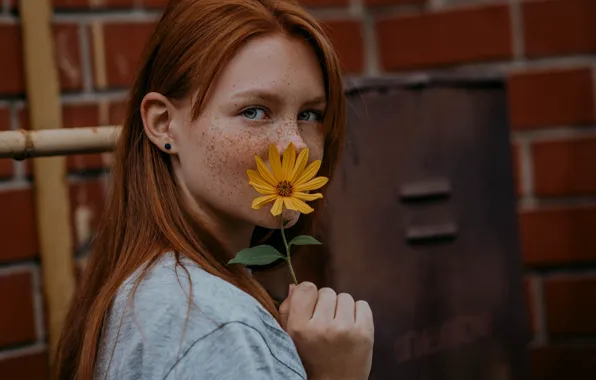 Picture flowers, freckles, red, Maxim Grachev, Light Prokhorenkov