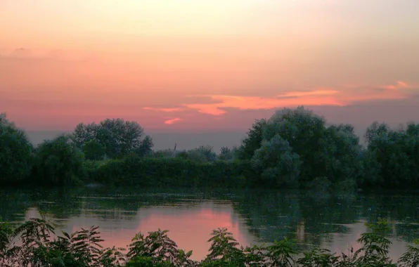 Sunset, The sky, Kuban