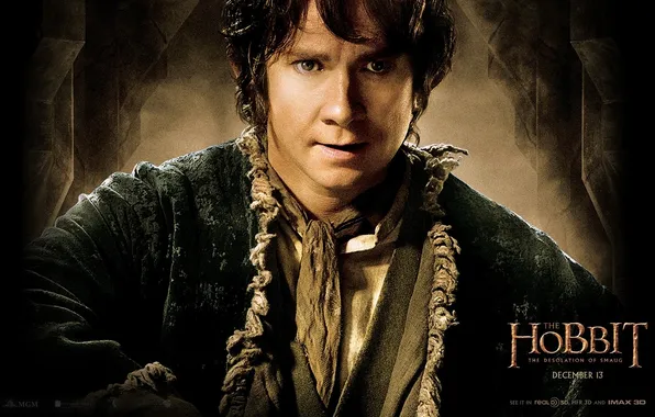 Picture martin freeman, hobbit: the desolation of smaug, the hobbit: the desolation of Smaug, Bilbo Baggins, …