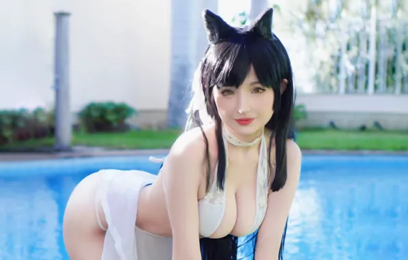 Girl, sexy, cleavage, long hair, dress, boobs, animal ears, smile