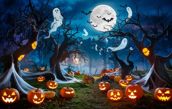 Picture trees, night, the moon, pumpkin, Halloween, horror