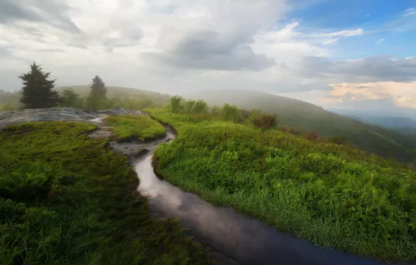 Greens, summer, grass, clouds, fog, stream, hills, morning