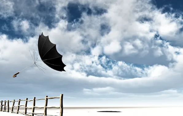 The sky, clouds, the wind, the fence, umbrella, flight, spokes