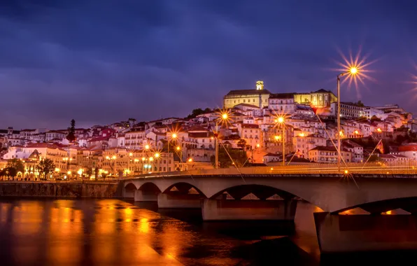 Picture the sky, night, bridge, the city, lights, river, building, home