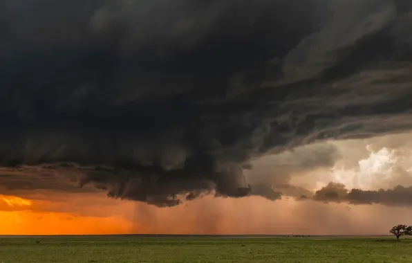 The storm, field, the sky, landscape, clouds, nature, rain, lightning