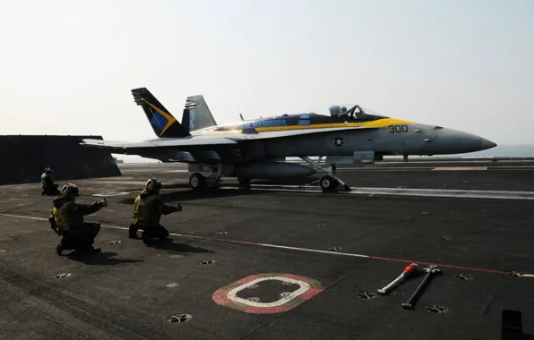 Picture the plane, f/a 18, hornet