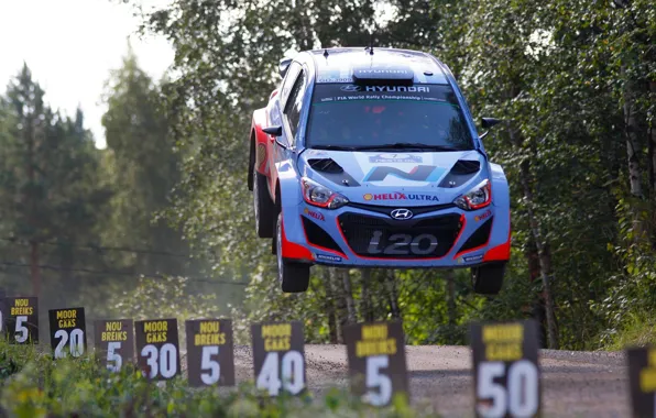 Grass, trees, jump, label, rally, rally, wrc, hyundai