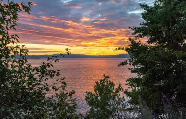 Water, landscape, sunset
