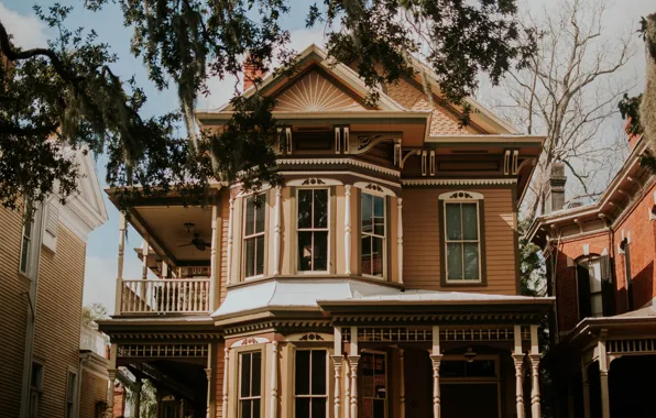 House, tree, the building, Windows, architecture