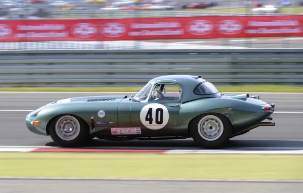 Picture movement, lawn, track, Jaguar, the fence, green, E-Type, check
