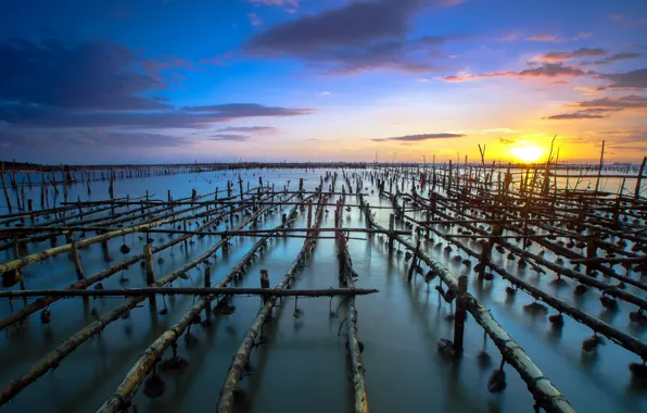 Landscape, sunset, lake, support