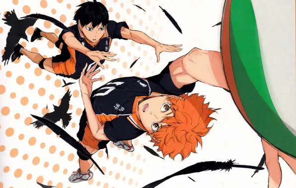 The ball, feathers, red, crows, guys, art, submission, sports uniforms