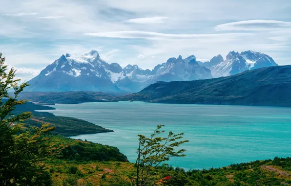Clouds, snow, trees, mountains, lake, hills, shore, tops