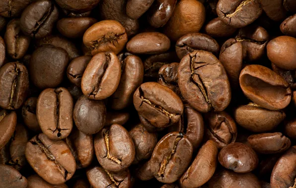 Coffee, grain, a lot