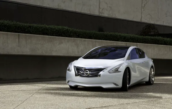Lights, the building, nissan, ellure