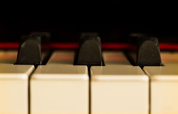 Macro, music, piano