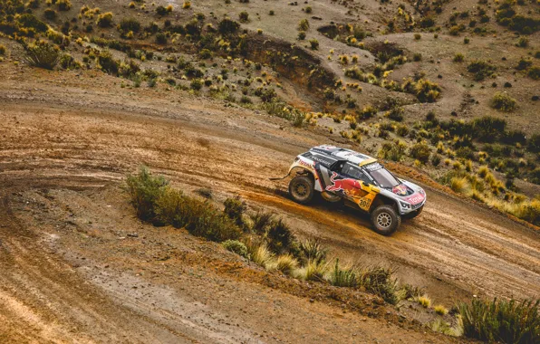 Sand, Sport, Speed, Turn, Race, Peugeot, Lights, Red Bull