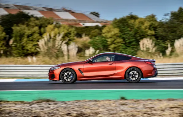 Movement, coupe, BMW, profile, Coupe, 2018, 8-Series, dark orange