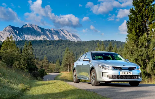 Road, forest, speed, forest, KIA, road, Hybrid, Kia