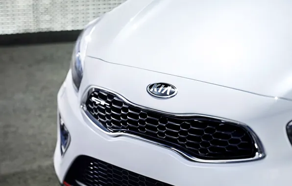 Picture Kia, Pro Cee'd, the tiger's mouth, tiger nose