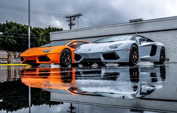 Picture Lamborghini, Grey, Orange, Orange, LP700-4, Aventador, Supercars, Silver