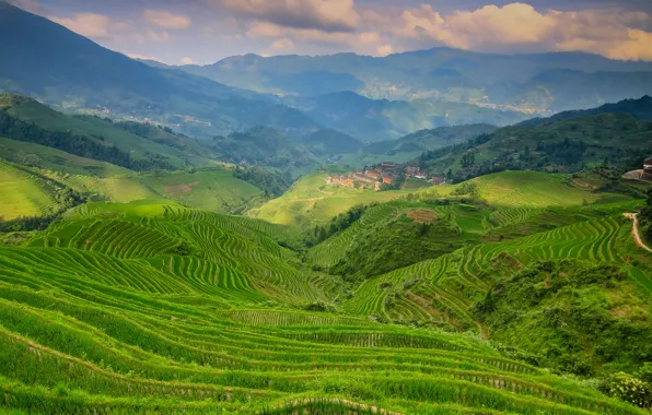 The sky, clouds, mountains, hills, plantation