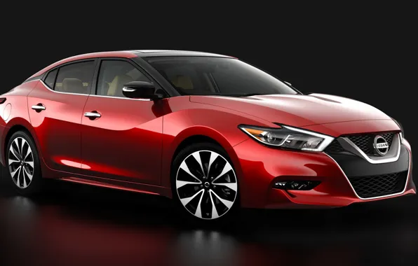 Nissan, Nissan, Maxim, 2016, Maxima