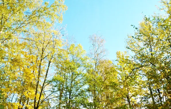 The sky, October, Autumn 2024