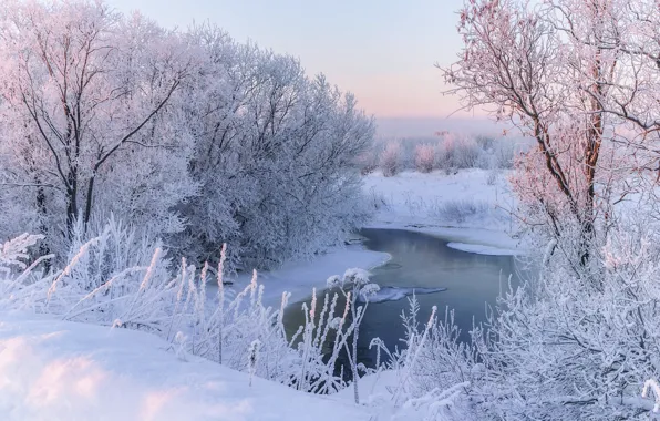 Picture winter, frost, snow, trees, landscape, nature, river, morning