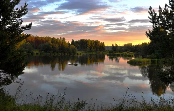 Picture sunset, river, the evening