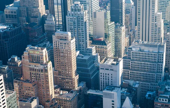 Building, height, home, Skyscrapers, City, USA, New York, New York