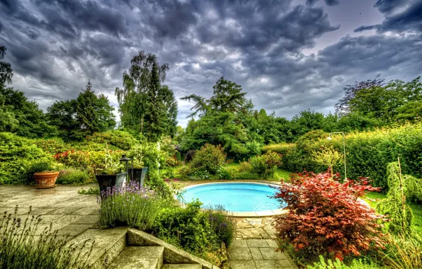 Trees, flowers, pool, Kusti, pools.