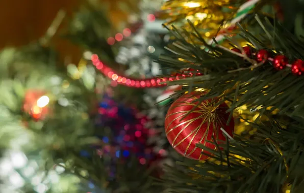 Decoration, balls, tree