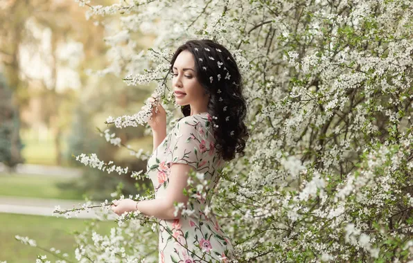 Picture dress, flowers, pretty, brunette, A Diakov George