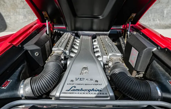 Engine, Lamborghini, Lambo, V12, Diablo, engine, Lamborghini Diablo VT Roadster