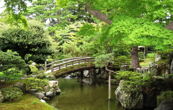 Picture trees, Park, stream, stones, bridges