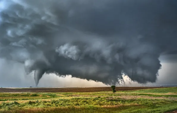 Picture grass, storm, field, landscape, nature, clouds, tree, Tornado