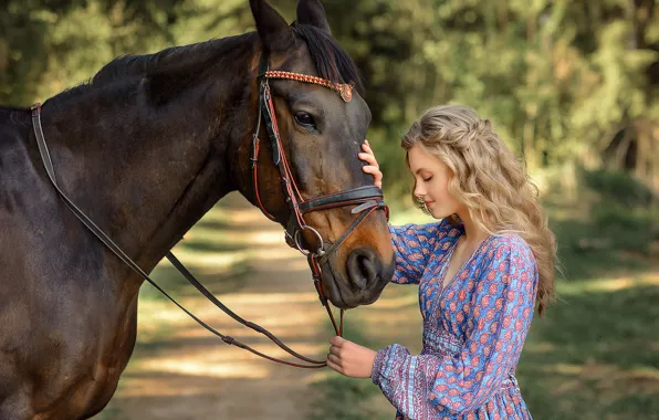 Summer, girl, nature, animal, horse, horse, dress, blonde