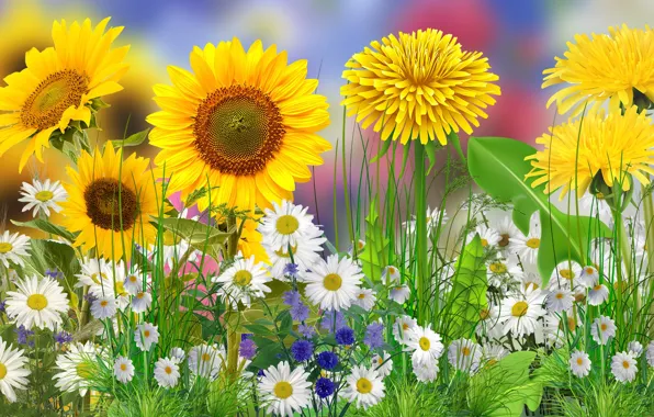 Graphics, Flowers, Spring