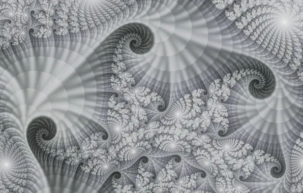 Abstraction, spiral, grey, background, pattern, curls, graphics, silver