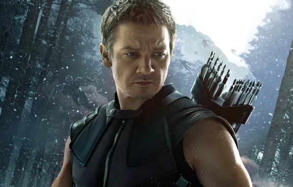 Picture Marvel Comics, hawkeye, Clint Barton, jeremy renner, Avengers: Age of Ultron, Clinton Barton