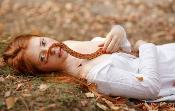 Picture autumn, look, leaves, girl, face, mood, snake, red