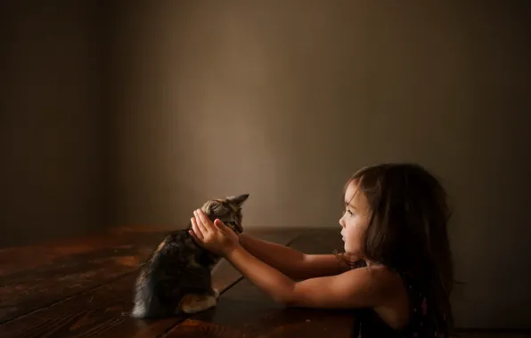 Wallpaper home, girl, cat