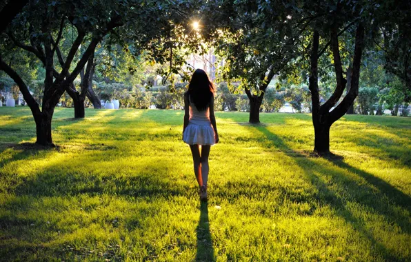 Girl, sunset, Park, brunette