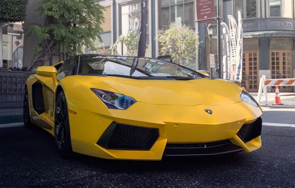 Picture Lamborghini, yellow, street, Aventador