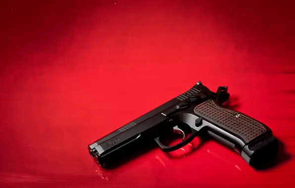 Picture gun, weapons, P-120, TriStar’s